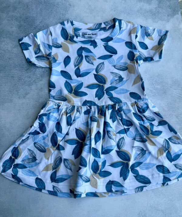 Blue Floral print Frock